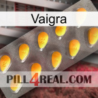 Vaigra cialis1